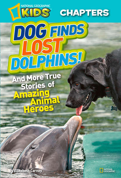 Скачать книгу National Geographic Kids Chapters: Dog Finds Lost Dolphins: And More True Stories of Amazing Animal Heroes