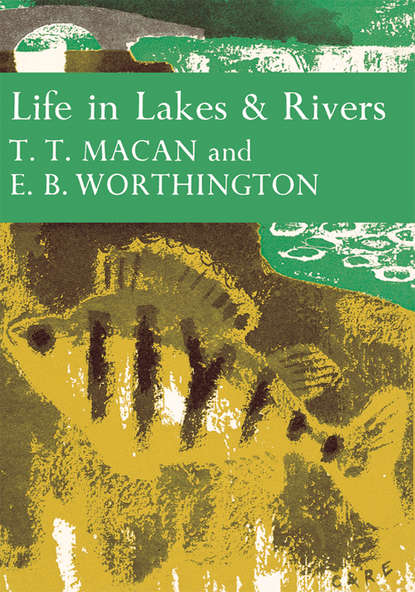 Скачать книгу Life in Lakes and Rivers