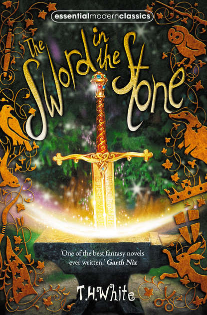 Скачать книгу The Sword in the Stone