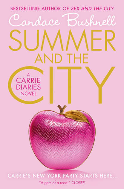 Скачать книгу Summer and the City