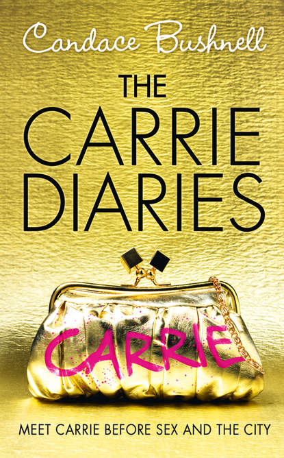 Скачать книгу The Carrie Diaries