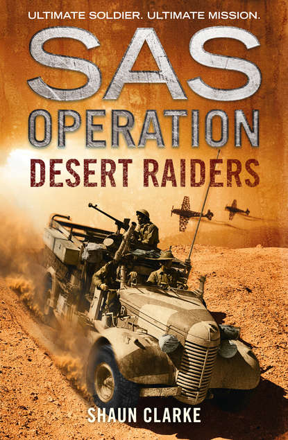 Скачать книгу Desert Raiders