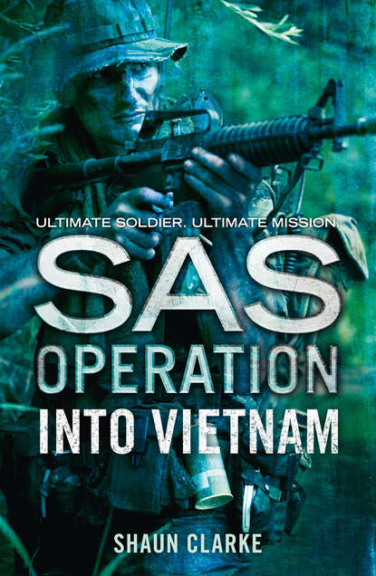 Скачать книгу Into Vietnam