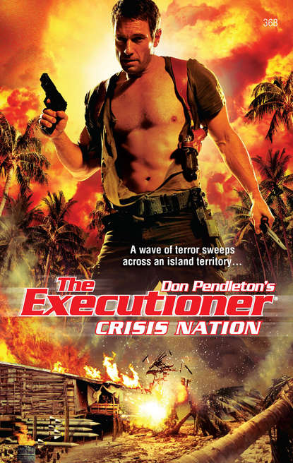 Скачать книгу Crisis Nation