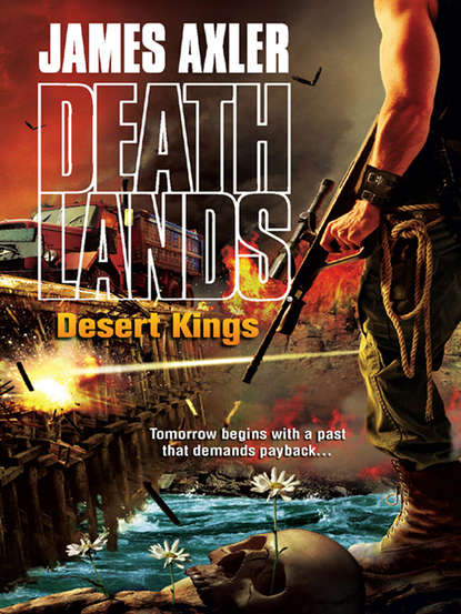 Скачать книгу Desert Kings