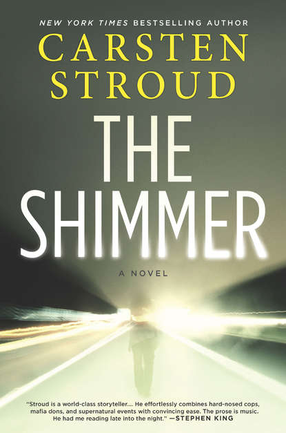 Скачать книгу The Shimmer