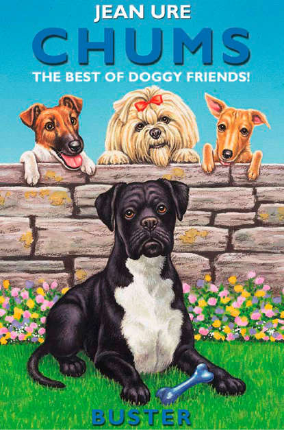 Скачать книгу Buster