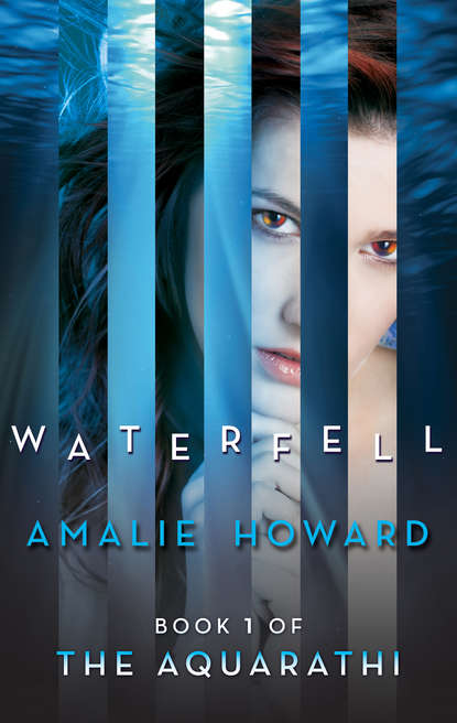 Скачать книгу Waterfell