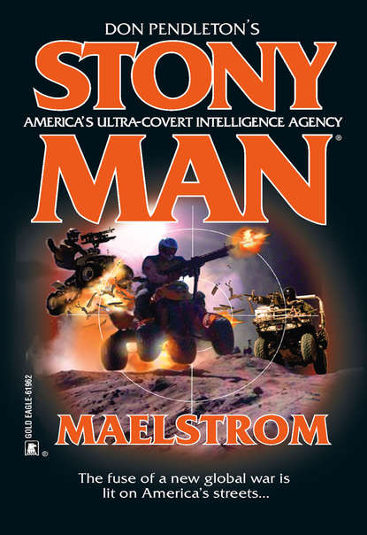 Скачать книгу Maelstrom