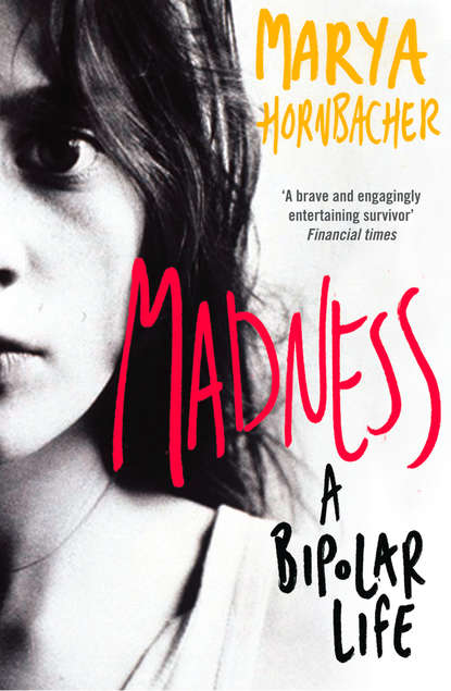 Скачать книгу Madness: A Bipolar Life