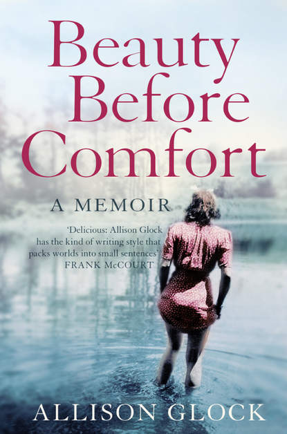 Скачать книгу Beauty Before Comfort: A Memoir