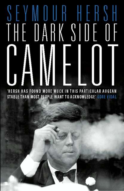 Скачать книгу The Dark Side of Camelot