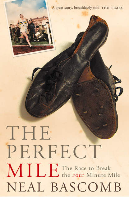 Скачать книгу The Perfect Mile