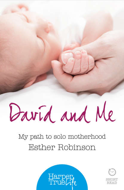 Скачать книгу David and Me: My path to solo motherhood