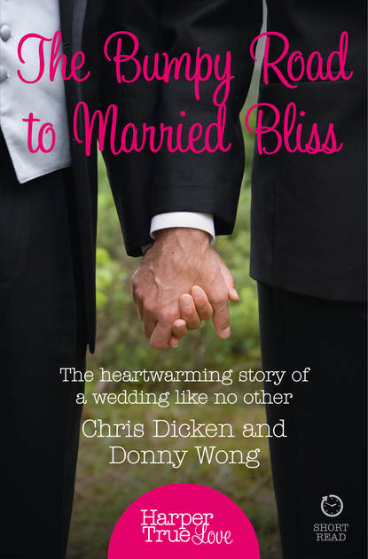 Скачать книгу The Bumpy Road to Married Bliss