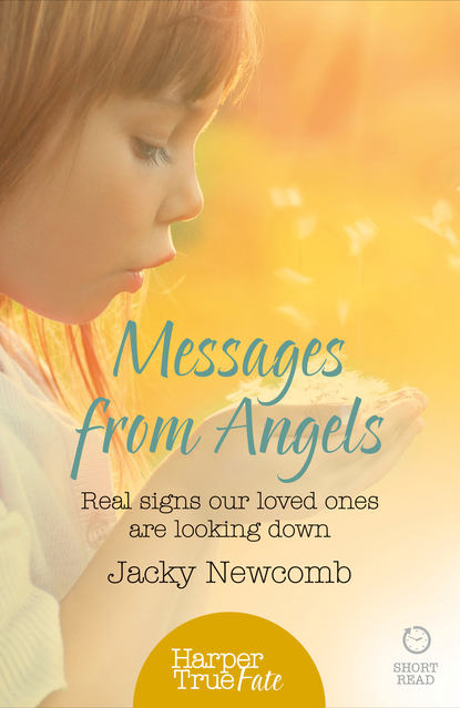 Скачать книгу Messages from Angels: Real signs our loved ones are looking down