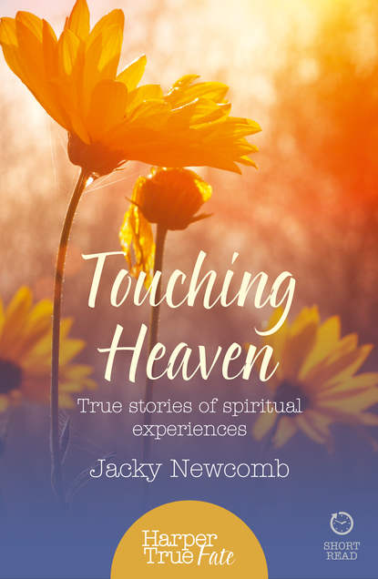 Скачать книгу Touching Heaven: True stories of spiritual experiences