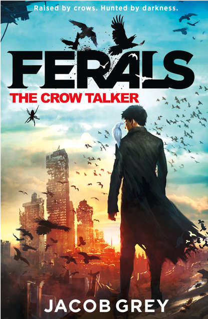 Скачать книгу The Crow Talker