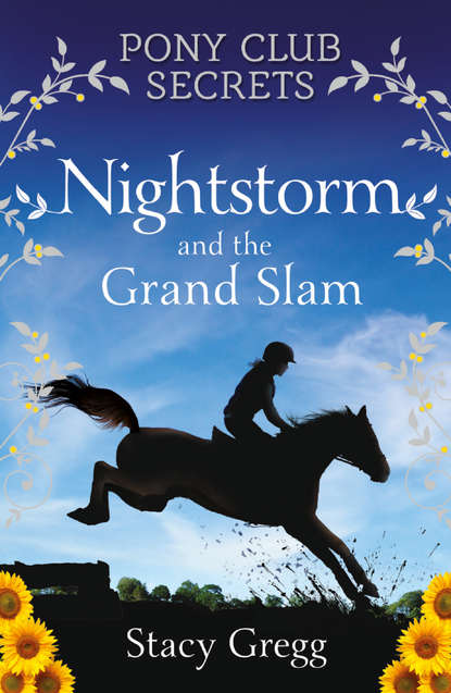 Скачать книгу Nightstorm and the Grand Slam