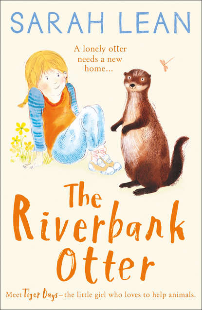 Скачать книгу The Riverbank Otter