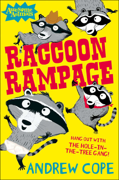 Скачать книгу Raccoon Rampage