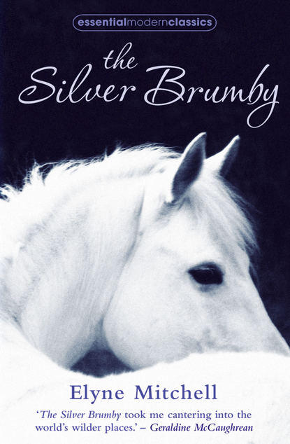 Скачать книгу The Silver Brumby