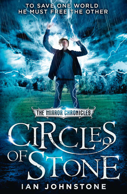 Скачать книгу Circles of Stone