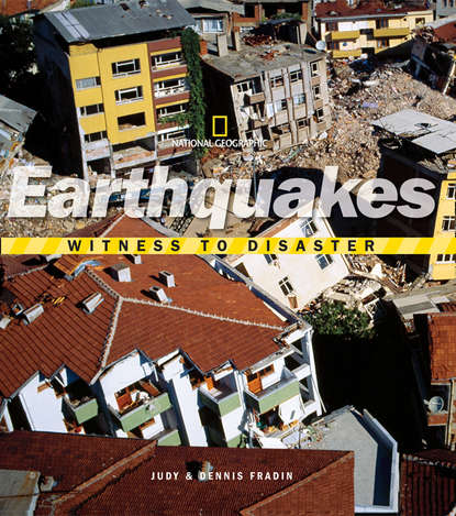 Скачать книгу Witness to Disaster: Earthquakes