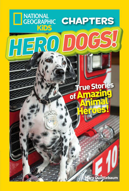 Скачать книгу National Geographic Kids Chapters: Hero Dogs
