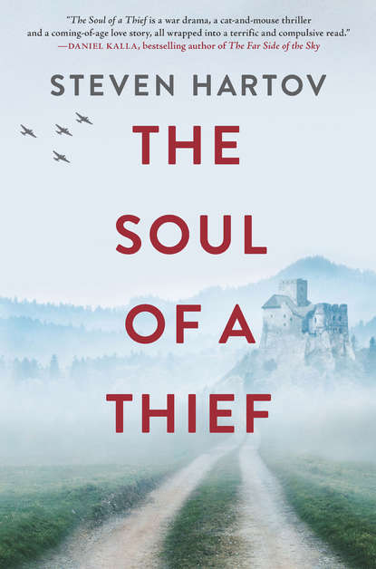 Скачать книгу The Soul Of A Thief