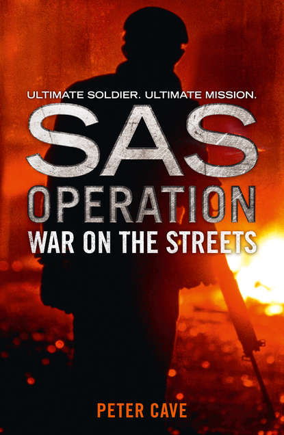 Скачать книгу War on the Streets