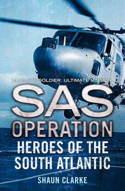 Скачать книгу Heroes of the South Atlantic