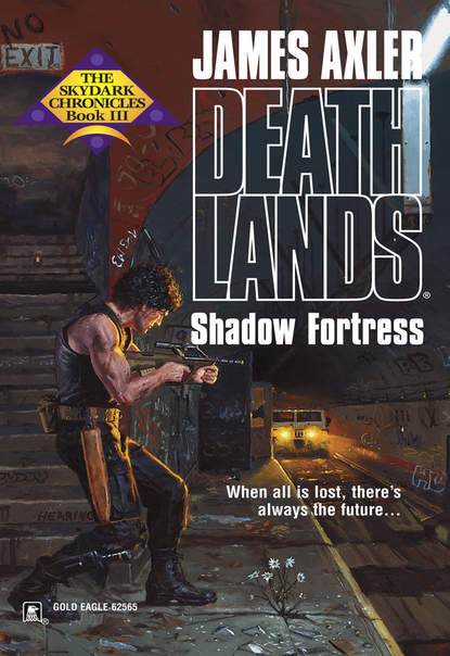 Скачать книгу Shadow Fortress