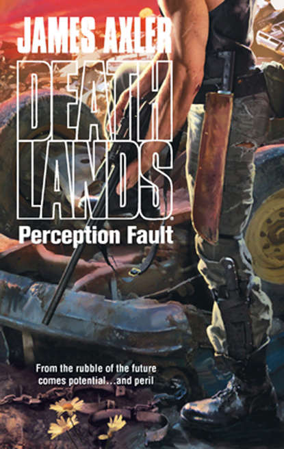 Скачать книгу Perception Fault