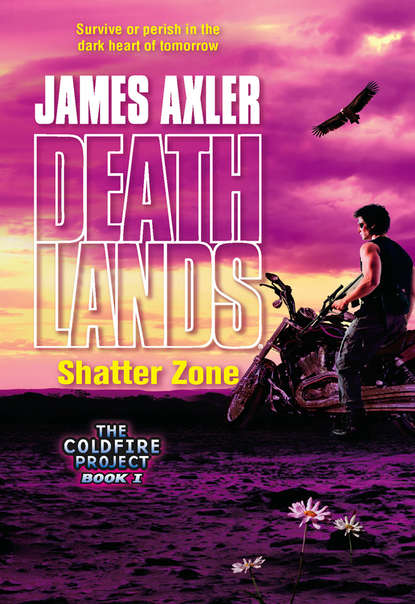 Скачать книгу Shatter Zone