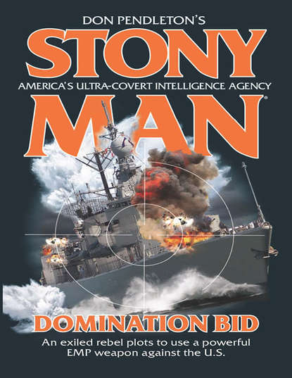 Скачать книгу Domination Bid