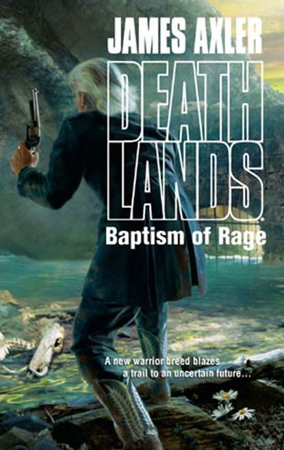 Скачать книгу Baptism Of Rage