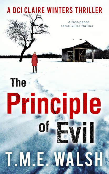 Скачать книгу The Principle of Evil: A Fast-Paced Serial Killer Thriller