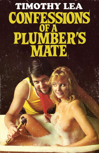 Confessions of a Plumber’s Mate