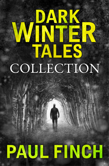 Скачать книгу Dark Winter Tales: a collection of horror short stories