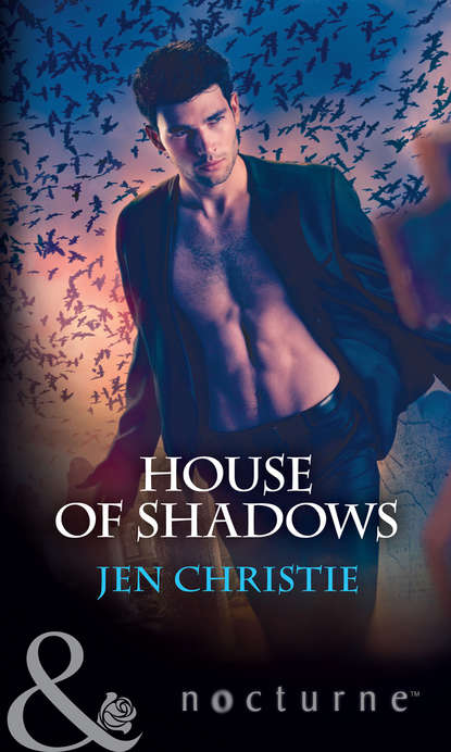 Скачать книгу House Of Shadows