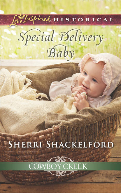 Скачать книгу Special Delivery Baby