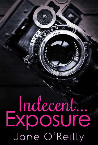 Скачать книгу Indecent...Exposure