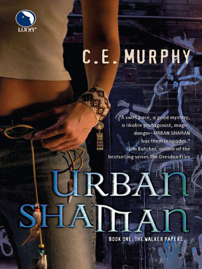 Скачать книгу Urban Shaman