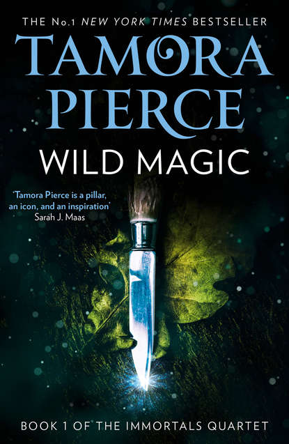 Скачать книгу Wild Magic