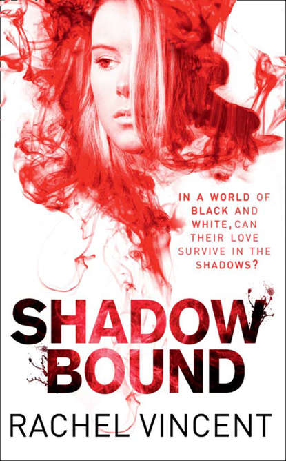 Скачать книгу Shadow Bound