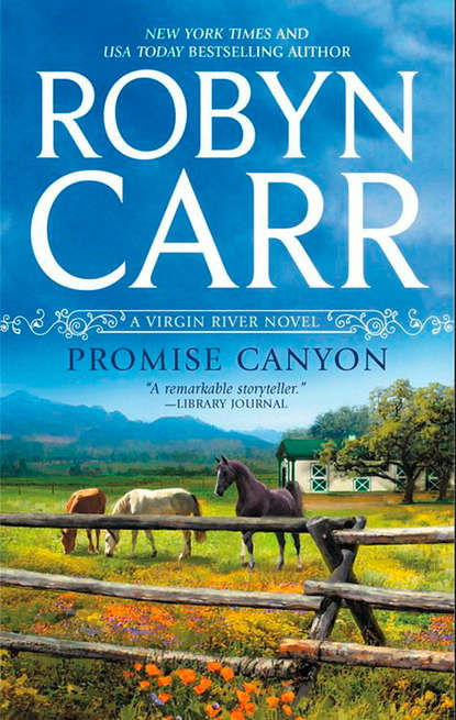 Скачать книгу Promise Canyon