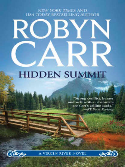 Скачать книгу Hidden Summit