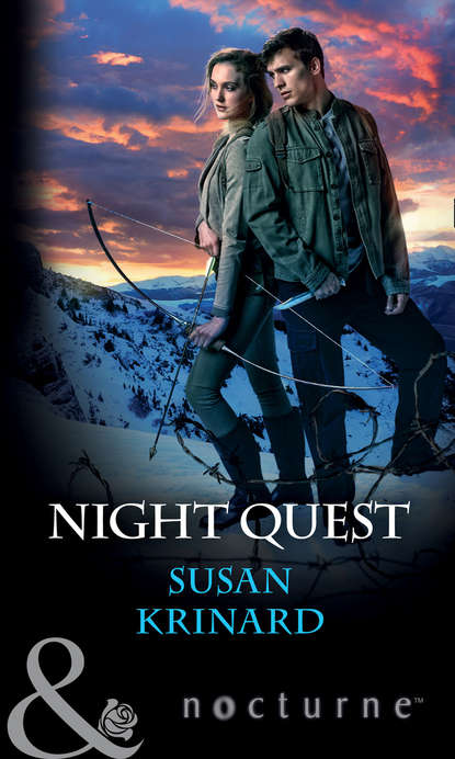 Скачать книгу Night Quest