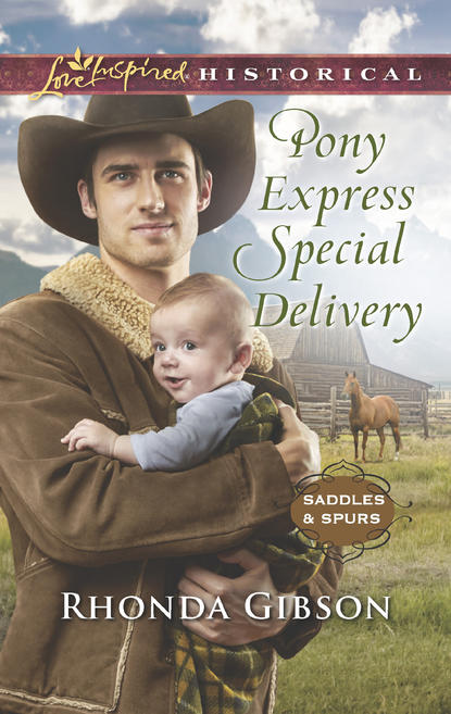 Скачать книгу Pony Express Special Delivery